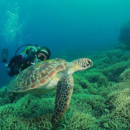 Bongo Bongo Divers Dauin Luaran gambar